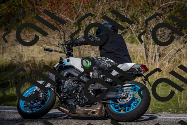 202510191055-DSC_8769_c2