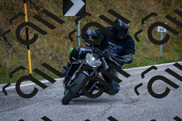 202510191056-DSC_8770_c2