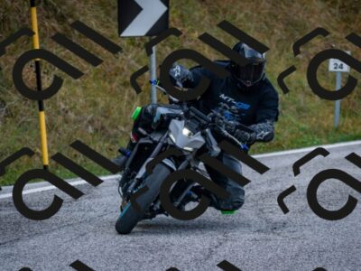 202510191056-DSC_8770_c2