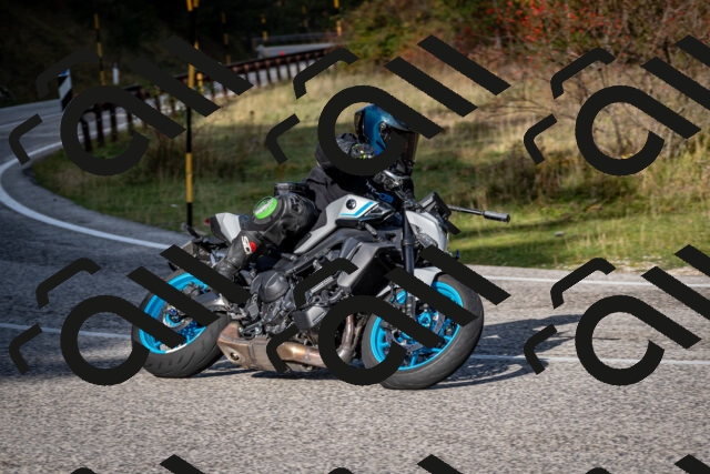 202510191056-DSC_8771_c2