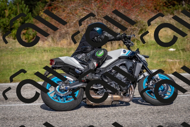 202510191056-DSC_8772_c2