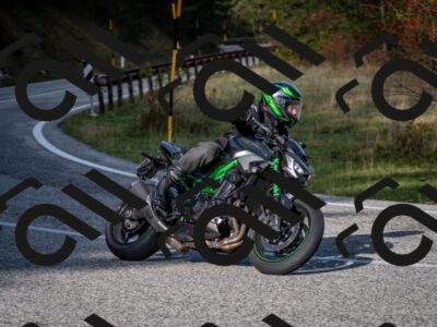 202510191057-DSC_8773_c2