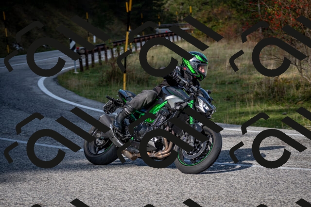 202510191057-DSC_8773_c2