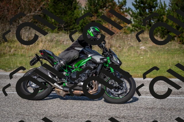 202510191057-DSC_8774_c2