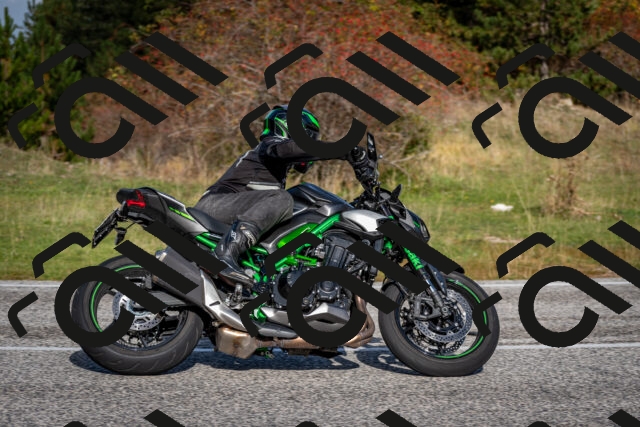 202510191057-DSC_8775_c2