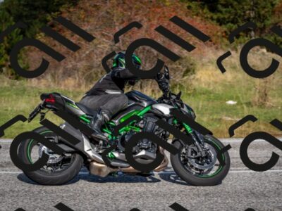 202510191057-DSC_8775_c2