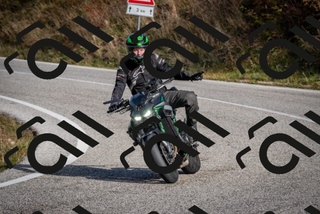 202510191058-DSC_8776_c2