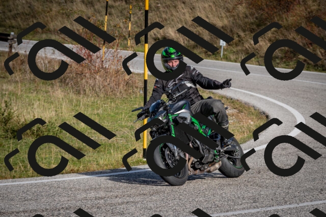 202510191058-DSC_8777_c2