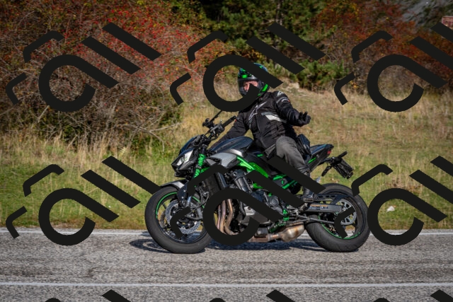 202510191058-DSC_8778_c2