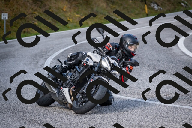 202510191058-DSC_8779_c2