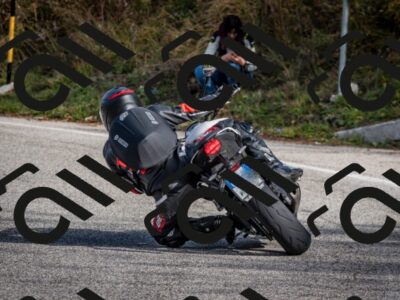 202510191058-DSC_8781_c2