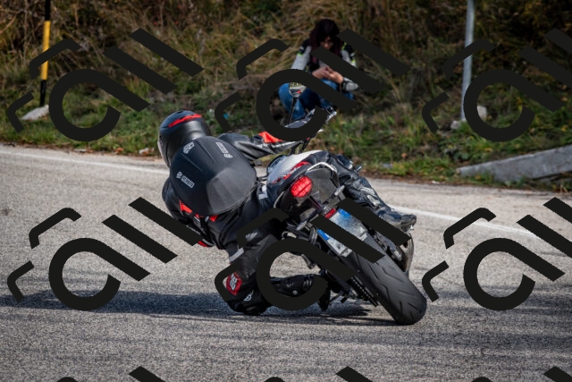 202510191058-DSC_8781_c2