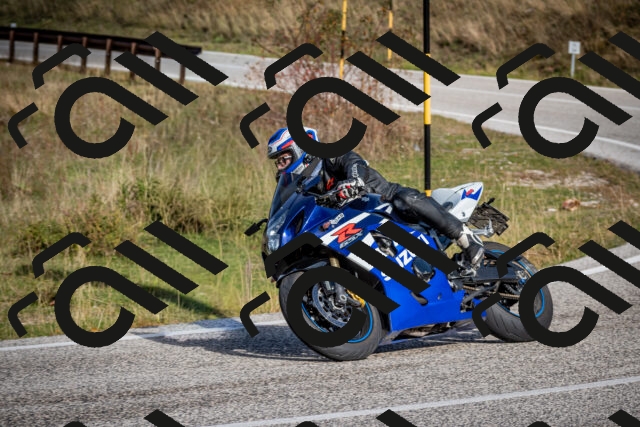 202510191059-DSC_8782_c2