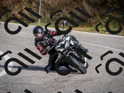 202510191059-DSC_8785_c2