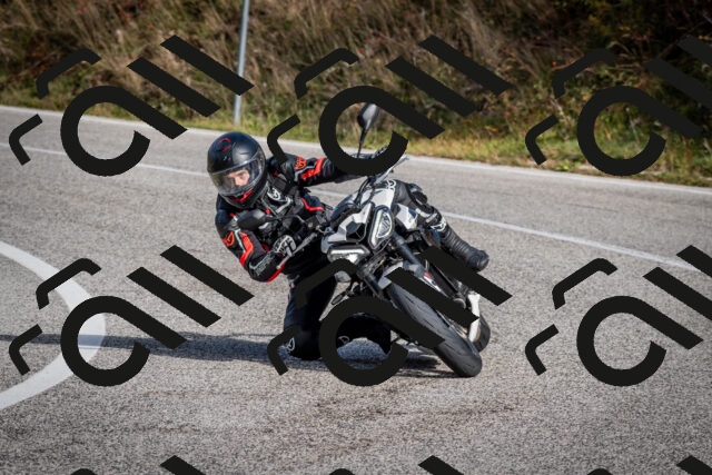 202510191059-DSC_8785_c2