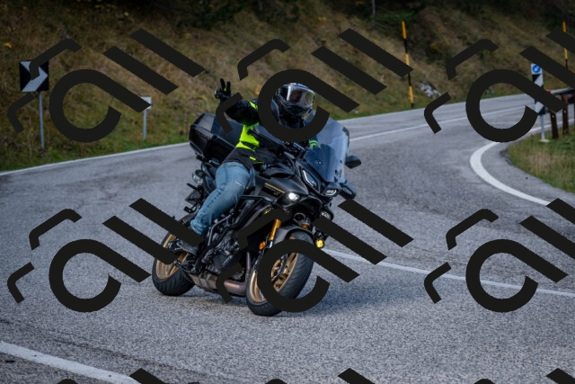 202510191100-DSC_8787_c2