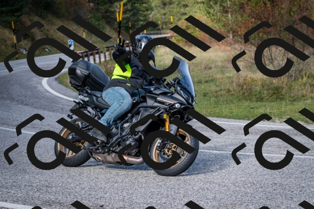 202510191100-DSC_8788_c2