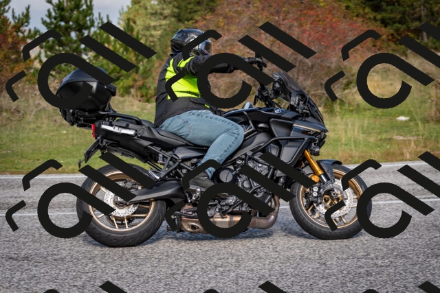 202510191100-DSC_8789_c2