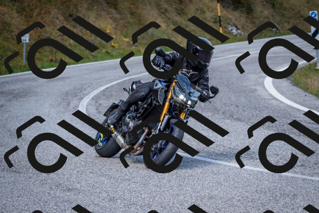 202510191101-DSC_8790_c2