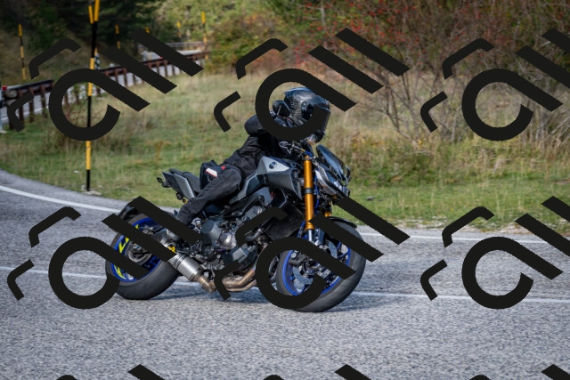 202510191101-DSC_8791_c2