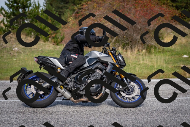 202510191101-DSC_8792_c2