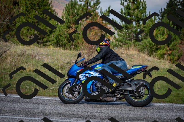 202510191101-DSC_8795_c2