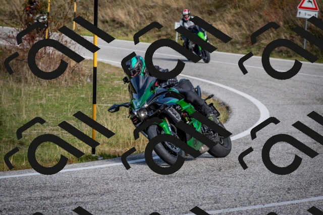 202510191102-DSC_8796_c2