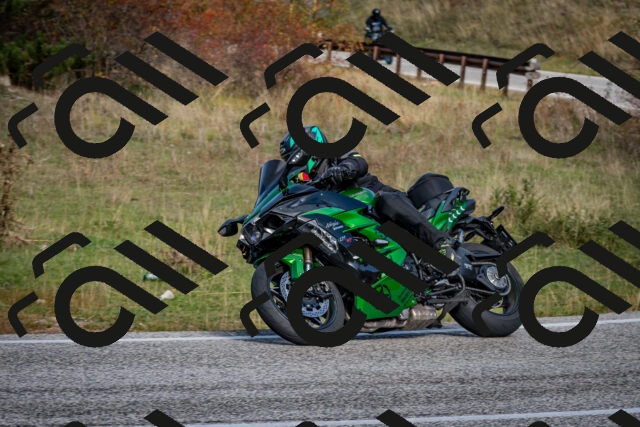 202510191102-DSC_8797_c2