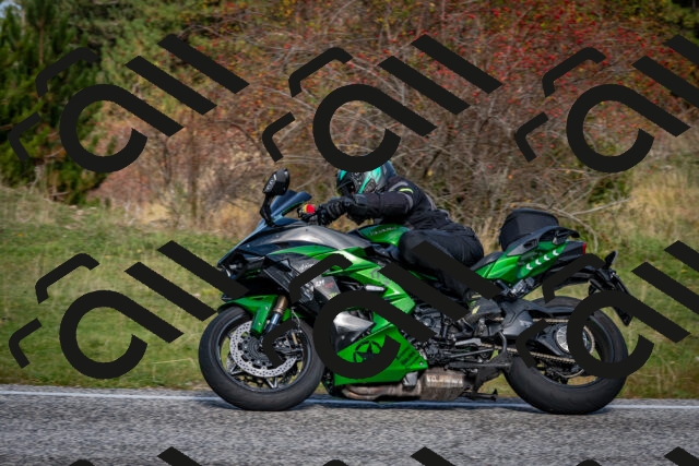 202510191102-DSC_8798_c2