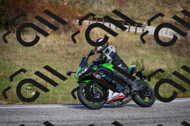 202510191102-DSC_8799_c2