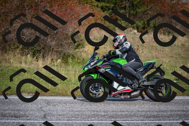 202510191102-DSC_8800_c2