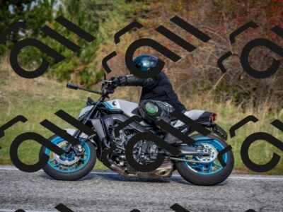 202510191102-DSC_8804_c2