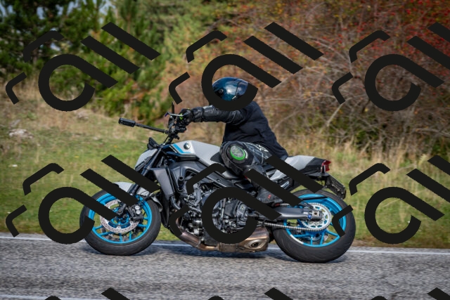 202510191102-DSC_8804_c2