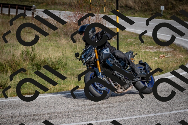 202510191102-DSC_8805_c2