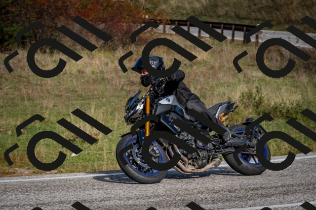 202510191102-DSC_8806_c2