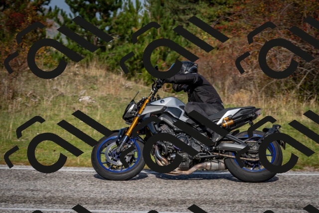 202510191102-DSC_8807_c2