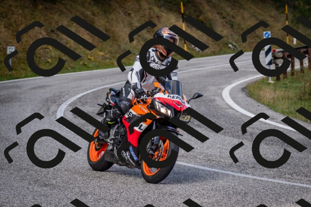 202510191103-DSC_8808_c2