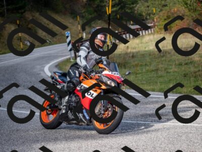 202510191103-DSC_8809_c2