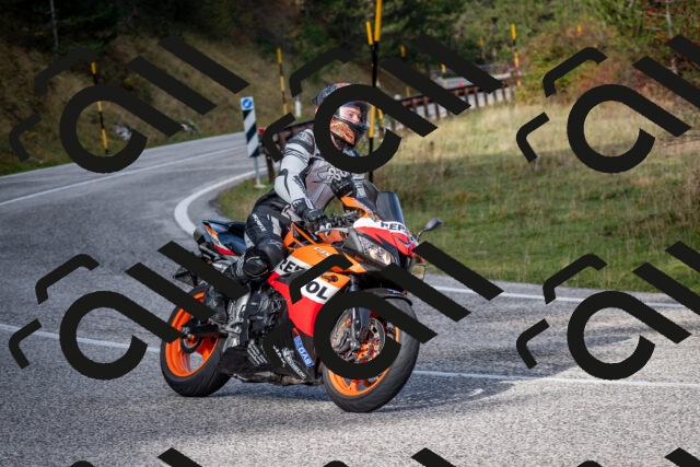 202510191103-DSC_8809_c2