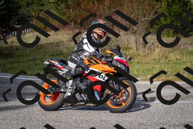 202510191103-DSC_8810_c2