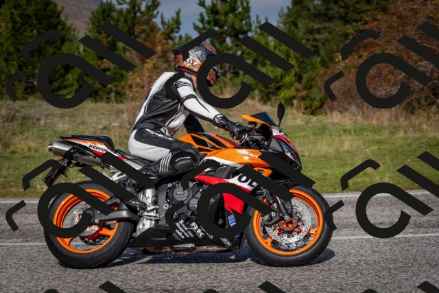 202510191103-DSC_8811_c2