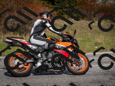 202510191103-DSC_8812_c2