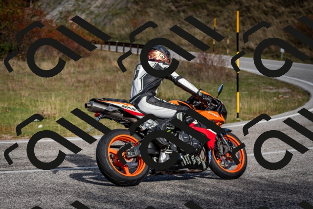 202510191103-DSC_8813_c2