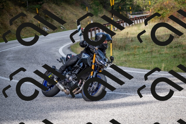 202510191103-DSC_8814_c2