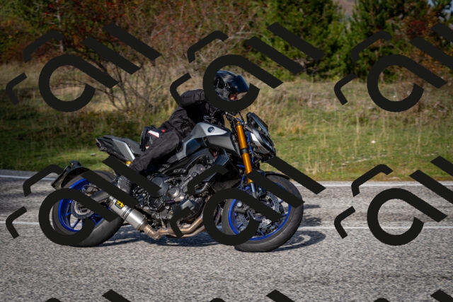 202510191103-DSC_8815_c2