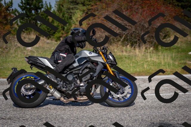 202510191103-DSC_8816_c2