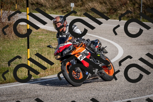 202510191104-DSC_8817_c2