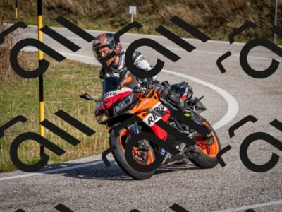 202510191104-DSC_8817_c2