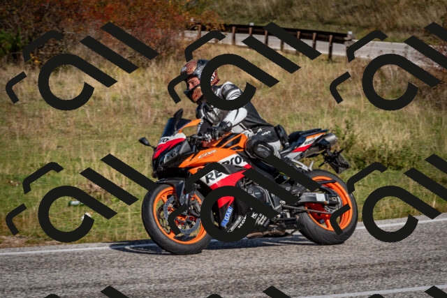 202510191104-DSC_8818_c2