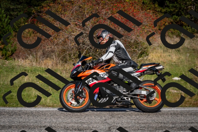 202510191104-DSC_8819_c2